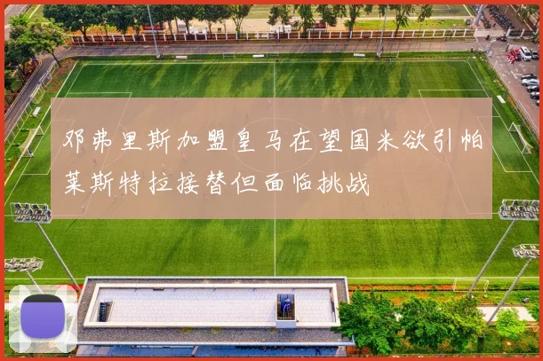 邓弗里斯加盟皇马在望国米欲引帕莱斯特拉接替但面临挑战